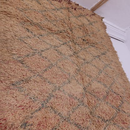 Vintage Talsint Moroccan Rug | Handwoven Wool Berber Carpet ; 8,69 ft / 4,43 ft