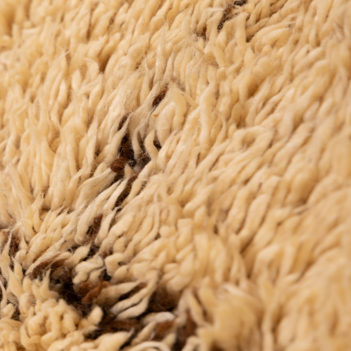 Extra Plush Beni Ourain Moroccan Rug | Thick Wool Vintage Carpet | Handwoven Diamond Pattern | Golden Beige & Brown Border | 100% Wool | Large Cozy Rug  ; 15,09 ft / 6,56 ft