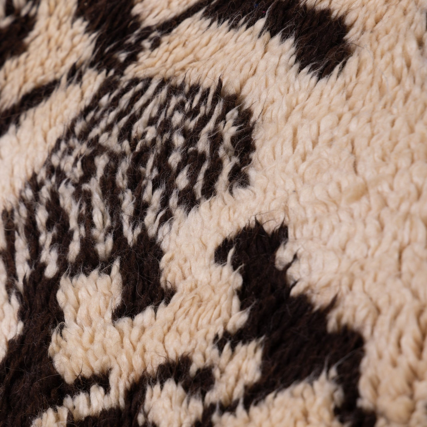 Palm Mirage” – Vintage Beni Ourain Rug with Abstract Pod Motif