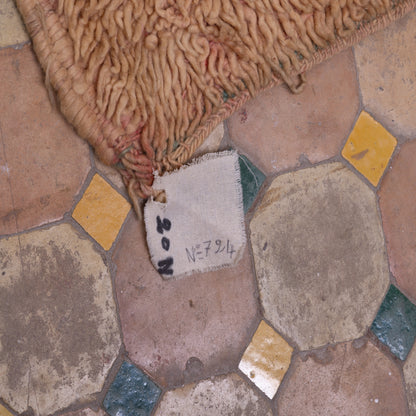 Vintage Talsint Moroccan Rug | Handwoven Wool Berber Carpet ; 10,17 ft / 4,10 ft