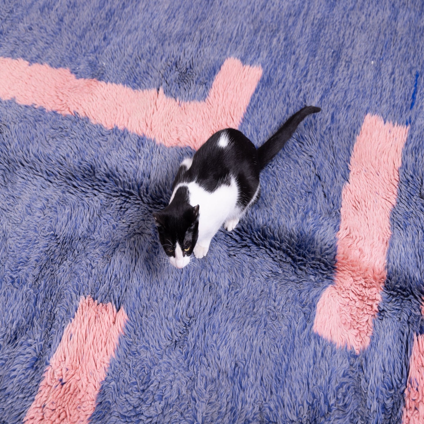 Handmade Mrirt Rug – 100% Wool Moroccan Berber Carpet – Blue & Pink Abstract Wool Rug – Modern Bohemian & Contemporary Home Decor